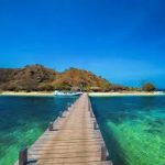 Keajaiban Alam Komodo: Bertemu Naga Purba di Taman Nasional
