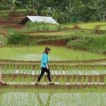 30 Tempat Wisata Instagramable di Indonesia yang Cocok untuk Foto OOTD