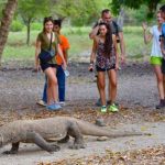 Panduan Liburan Keluarga Besar ke Taman Nasional Komodo yang Harmonis dan Seru