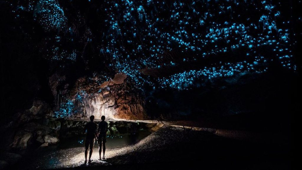 gua-waitomo-di-selandia-baru-1_169