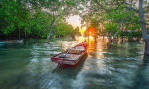 Desain tanpa judul (78)