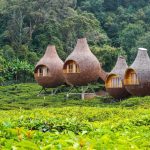 Menyusuri Keindahan Wisata Alam yang Bikin Rindu Pulang