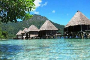 images (19)